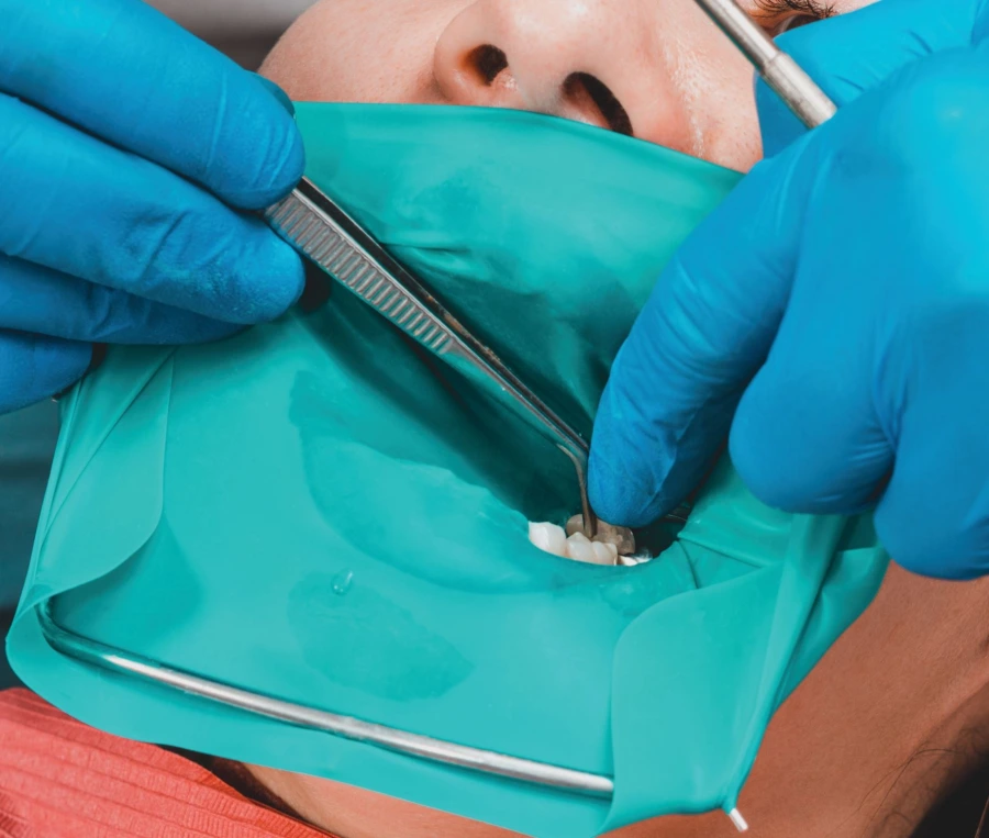 Görsel ALT Başlığı